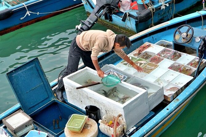 Lantau Island Day Trip - Big Buddha & Tai O - How the Dolphin Cruise Fits the Day