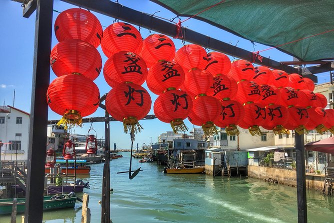 Lantau Island Private Tour to Big Buddha and Tai O Village - Who this tour suits best, and who should think twice