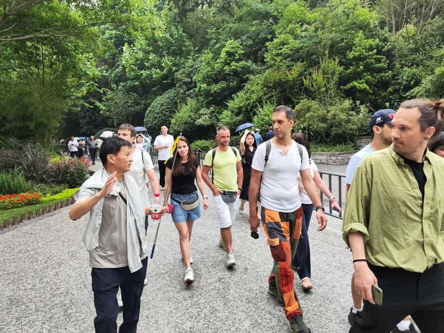 Leshan Grand Buddha Scenic Area and Panda Park Day Tour - Key things to know before you go