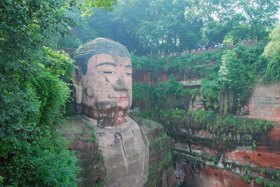 Leshan Grand Buddha Scenic Area and Panda Park Day Tour - Price and value: what your $116 buys you