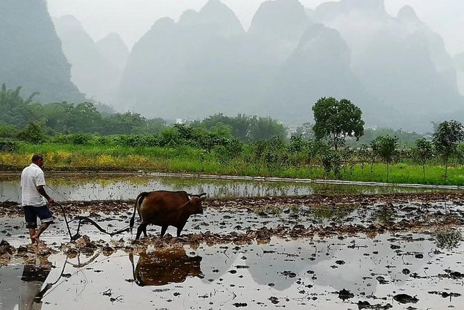 Li River Cruise with bamboo Rafting & Xianggong Hill Private Tour - Price and value: what $110 actually covers