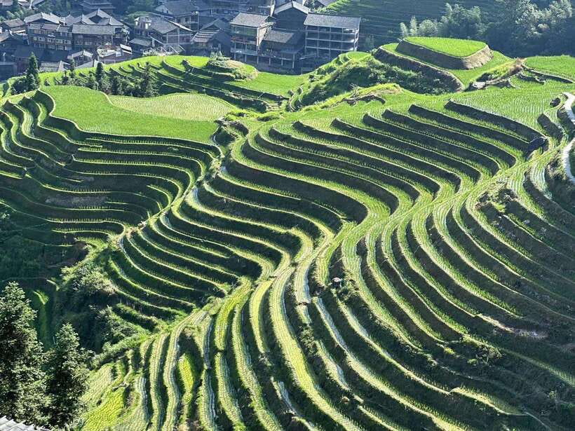 Longji Rice Terraces: Full-Day Private Tour from Guilin - Pingan Village and its wooden buildings: the cultural stop that makes the terraces make sense