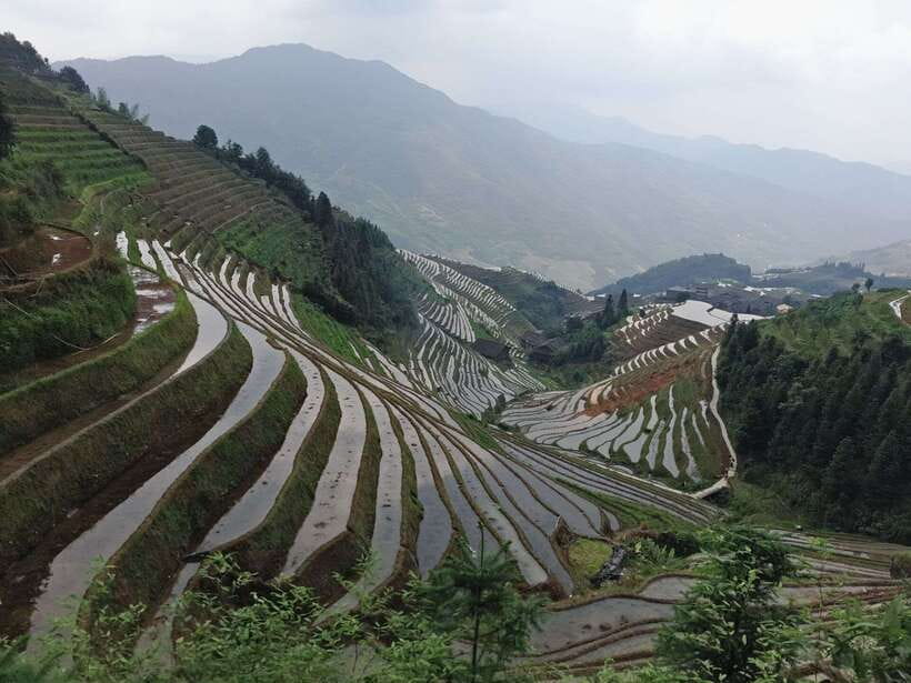 Longji Rice Terraces: Full-Day Private Tour from Guilin - Riding from Guilin or Yangshuo: how the transport actually affects the day