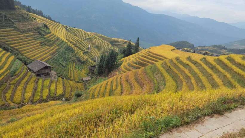 Longji Rice Terraces: Full-Day Private Tour from Guilin - What you should do during the day: walking time, sun strategy, and photo planning