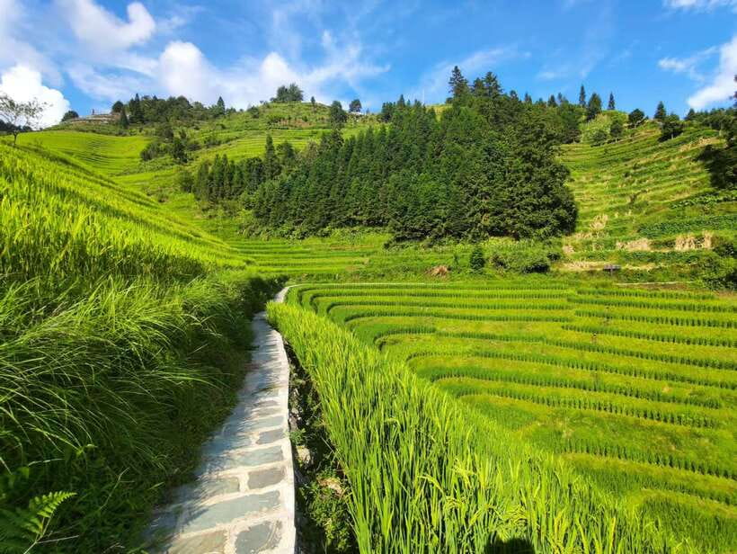 Longji Rice Terraces: Full-Day Private Tour from Guilin - Dazhai Village: another angle on the terraces, plus the value of being outside the crowd