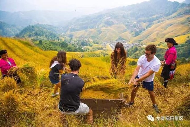 Longji rice terraces & minority villages private day tour - Longji Rice Terraces from Guilin: why this trip feels worth the day