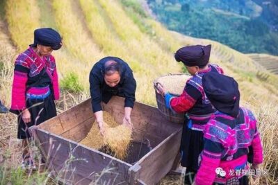 Longji rice terraces & minority villages private day tour