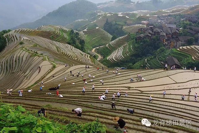 Longji rice terraces & minority villages private day tour - Minority villages on the route: cultural encounters without the tourist trap