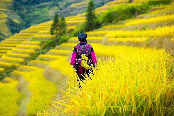 Longji rice terraces & minority villages private day tour - Lunch and the gaps: what you need to plan for yourself