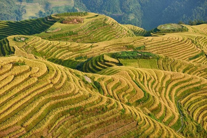 Longji Rice Terraces with Minority Village Private Day Tour - Key highlights you should care about