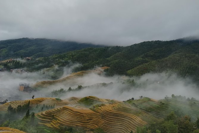 Longji Rice Terraces with Minority Village Private Day Tour - How the Longji terraces tour actually feels