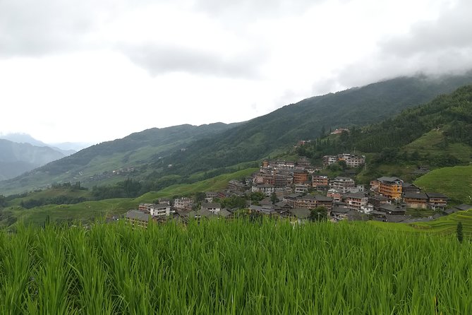 Longji Rice Terraces with Minority Village Private Day Tour - Your terrace walking plan, plus where the best photos come from