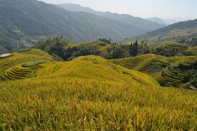 Longji Rice Terraces with Minority Village Private Day Tour - The Guilin pickup and the drive to Longji (why timing matters)