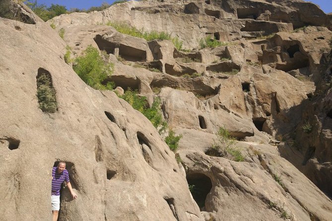 Longqingxia Gorge Cruise and Guyaju Cave Dwellings Private Day Tour - Should You Book This Tour?
