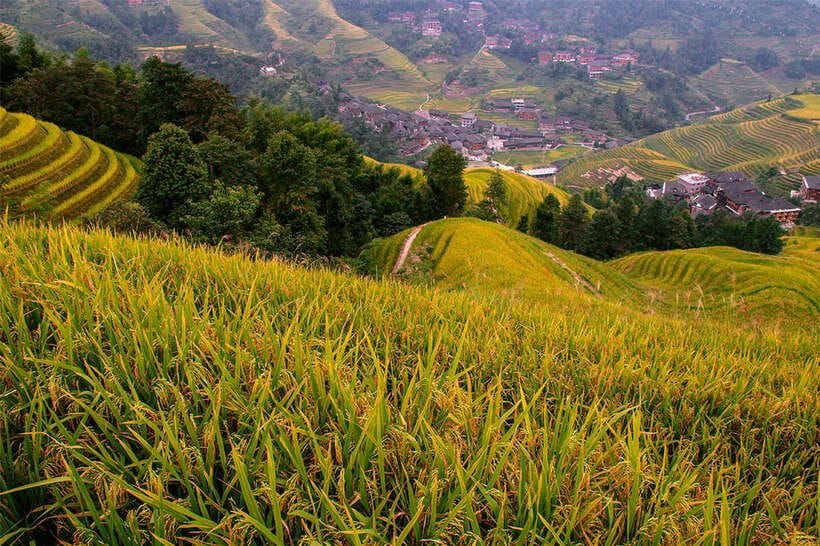 Longsheng Ethnic Minority & Rice Terraces Full-Day Tour - Practical Tips Before You Go: Small Things That Save Your Day