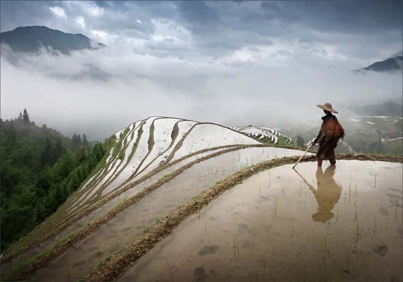 Longsheng Ethnic Minority & Rice Terraces Full-Day Tour - Longsheng Rice Terraces, aka Dragon’s Backbone: What You’re Really Signing Up For