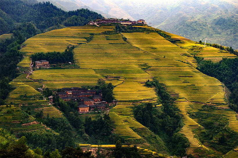 Longsheng Ethnic Minority & Rice Terraces Full-Day Tour - Lunch Included: Fuel That Keeps the Day Moving