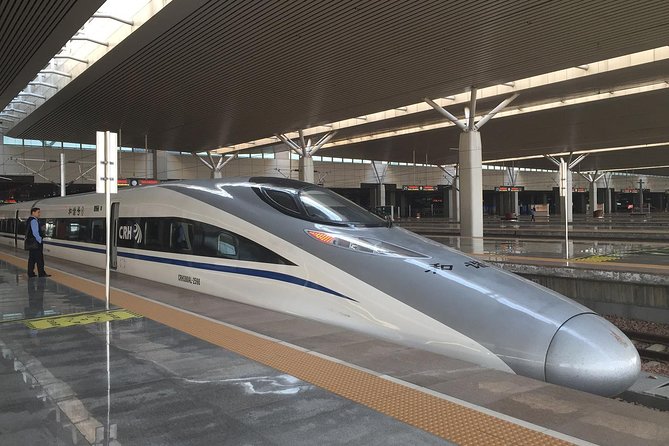 Luoyang & Shaolin Temple Day Trip from Xian by High-speed Train - The Big Picture: Xi’an to Luoyang in One Day, Without the Sleepover