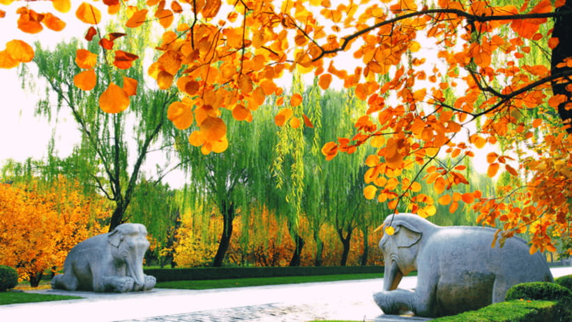 Ming Tombs Admission Ticket - Zhaoling (Emperor Muzong): A Restored Mausoleum You Can See More Clearly