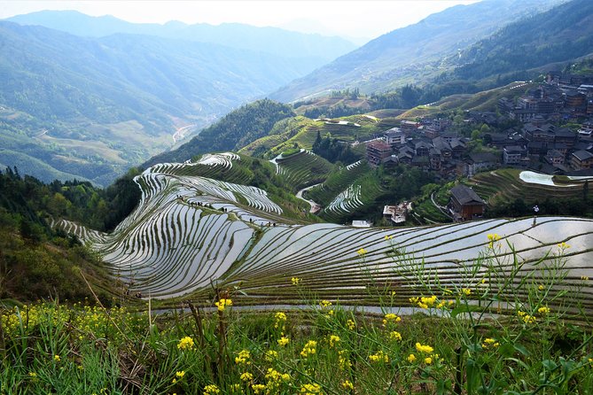 Mini Group: Longji Rice Terraced Fields and Minority Villages Tour - Ancient Zhuang Village and Longji Rice Terraced Fields: start with the real farming heart