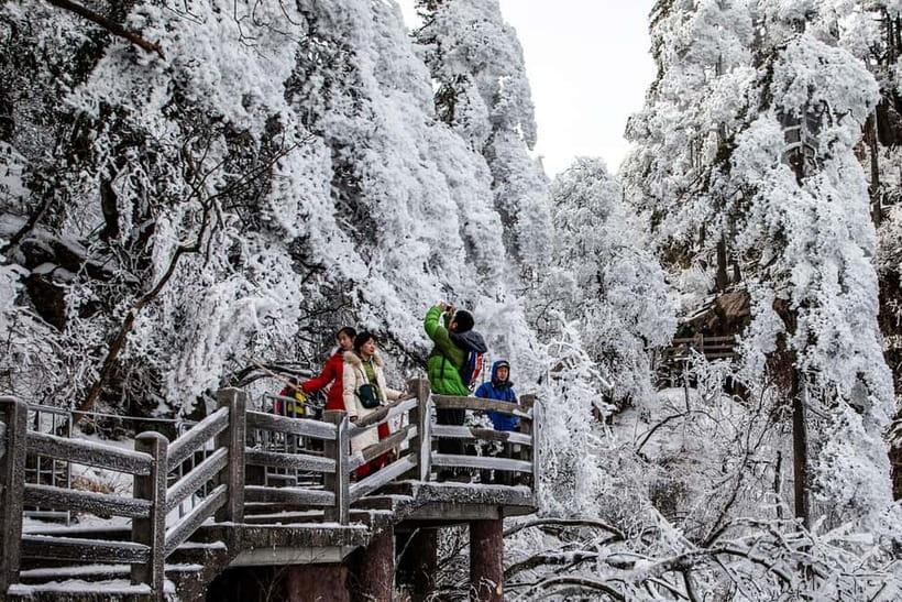 Mount Huangshan: Highlights Tour in Huangshan full-day - Hotel Buffet Lunch That Keeps You on Schedule