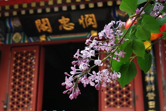 Mutianyu GreatWall BusTour - Cable car and ropeway costs: what to expect before you commit