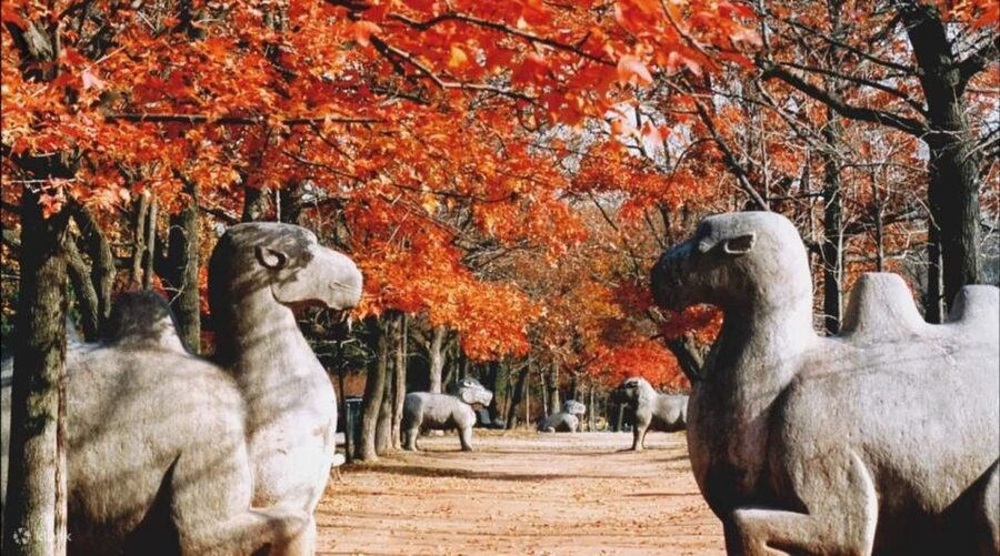 Nanjing:Must-See Attractions in One Day+Customized Itinerary - Price and value: what you are really paying for