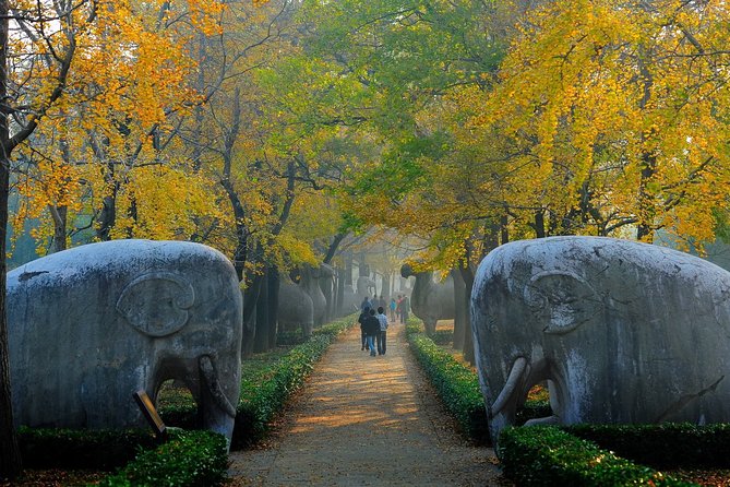Nanjing Private English Tour Guide Service - How your guide builds the exact Nanjing day you want
