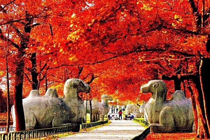 Nanjing Professional English Tour Guide Service - Confucius Temple Market: Souvenir Time Plus Local Culture
