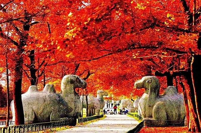 Nanjing Professional English Tour Guide Service - Transportation Options: Do You Need the A/C Private Car?