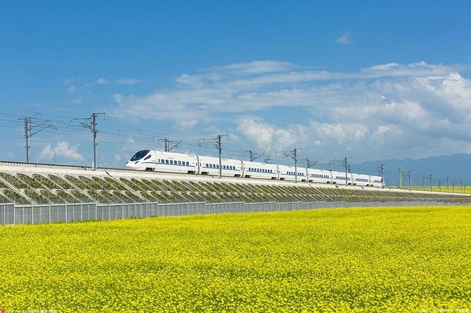 One Day Chengdu Xian Tour by Bullet Train - Price and What You Actually Pay For (Plus What You Might Add)