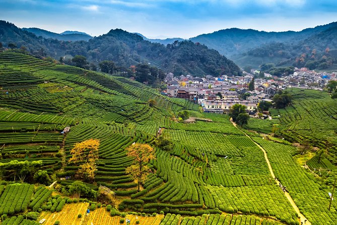 One-Day Hangzhou Dragon Well Tea Culture & West Lake Private Tour - What you are really paying $270 per person for