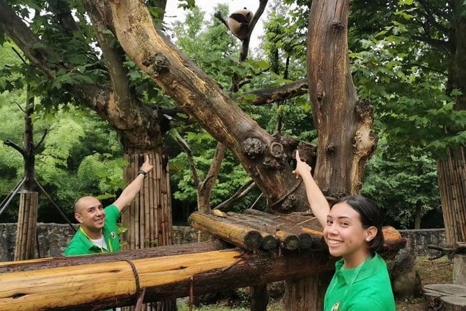 One Day Trip to Chengdu Panda Base and Leshan Buddha Tour - What to Watch For (Without Killing the Vibe)