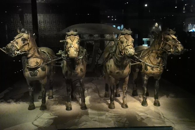 One Day Xian Terracotta Warriors Tour from Beijing Including Round Trip Airfares - Museum time at the Museum of Qin Terra-cotta Warriors and Horses