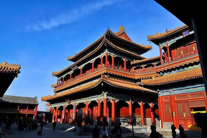 Panda House, Temple of Heaven, Lama Temple, Summer Palace & Lunch - Price and value at $148 per person