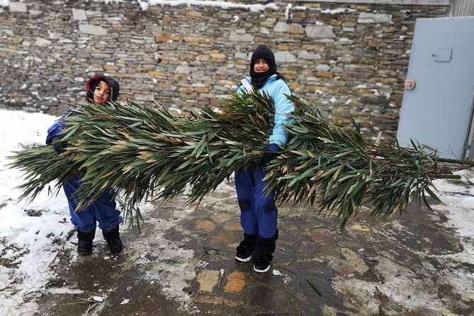 Panda Volunteer expperience in Dujiangyan or Wolong Panda Base - Price and logistics: where your $272.83 per person goes