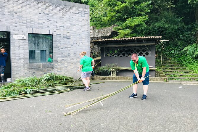 Panda Volunteer expperience in Dujiangyan or Wolong Panda Base - The panda documentary: facts that make the morning click