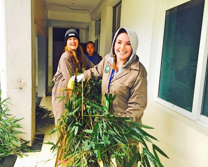 Panda Volunteer Project Day Trip(Wolong/Du Jiang Yan) - Key Points to Know Before You Go