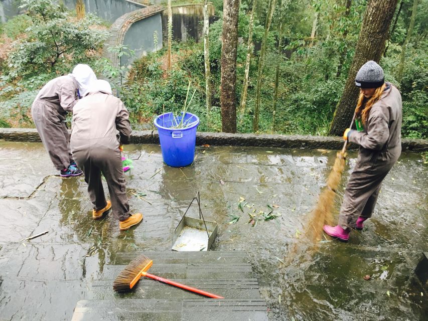 Panda Volunteer Project Day Trip(Wolong/Du Jiang Yan) - Dujiangyan Panda Base vs Wolong: A Fee and Availability Reality Check