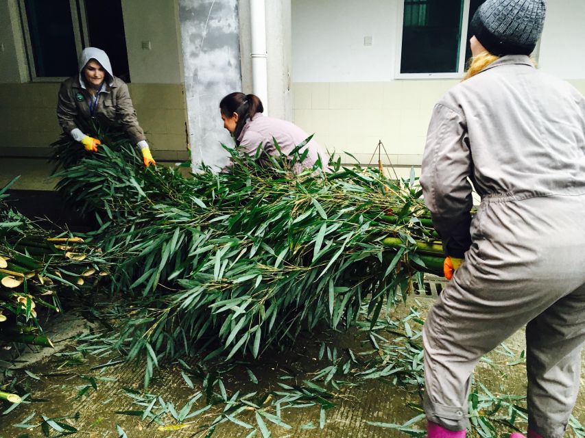 Panda Volunteer Project Day Trip(Wolong/Du Jiang Yan) - Lunch at the Base: Buffet at 12:00