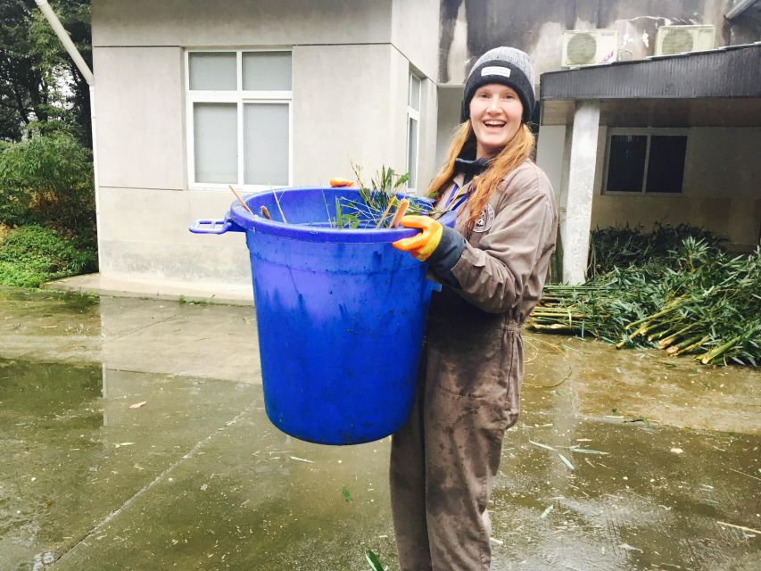 Panda Volunteer Project Day Trip(Wolong/Du Jiang Yan) - English-Speaking Guide and Comfort on the Road
