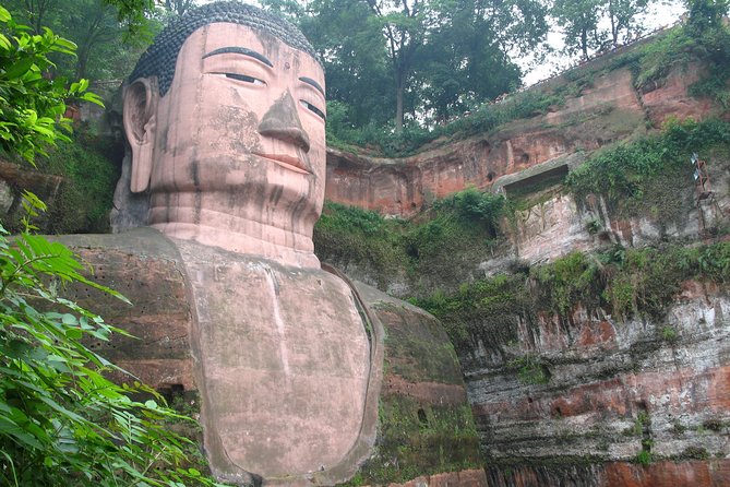 Private Day Tour: Chengdu Panda and Leshan Buddha - Chengdu Panda Base: what to focus on during the morning