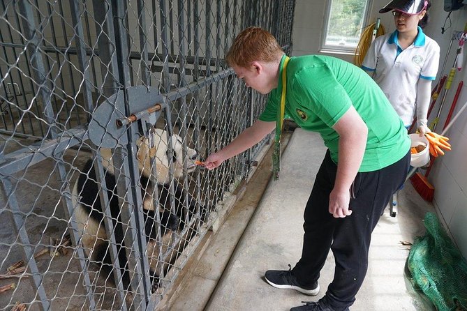 Private Day Tour: Dujiangyan Panda Base Volunteering from Chengdu - Hotel pickup in Chengdu, and how to plan your morning