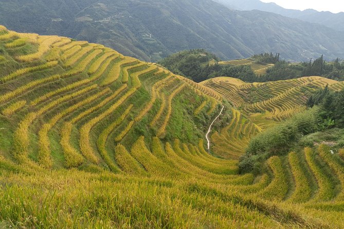 Private Day Tour: Longji Rice Terraces and Long Hair Village - Pickup from Guilin or Yangshuo: avoiding the day-plan headaches