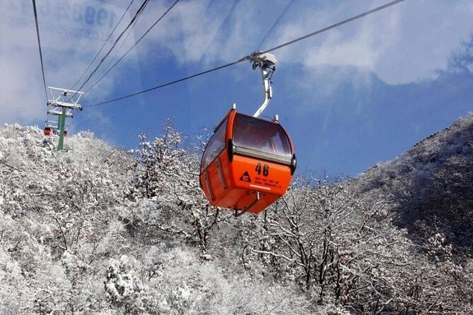 Private Day Tour to Beijing Mutianyu Great Wall - Tower 14 to a peak return: the classic hike option