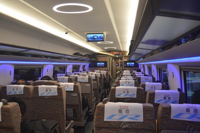 Private Day Trip to Suzhou from Shanghai by Bullet Train - Hotel pickup and a private guide who keeps the day from getting messy