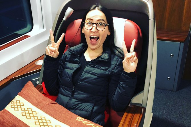 Private Day Trip to Terracotta Army from Beijing by Bullet Train - Museum of Qin Terra-cotta Warriors and Horses: what your 2.5 hours is for