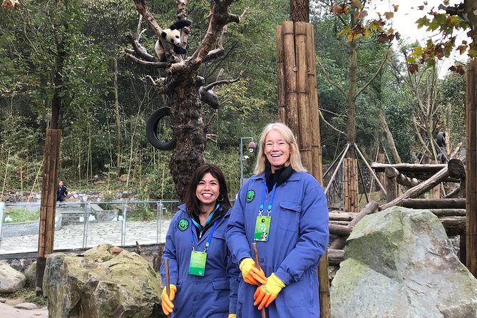 Private Dujiangyan Panda Base Panda Rescue Center Volunteer for a Day - The Chengdu ride and the internal shuttle: why the logistics matter