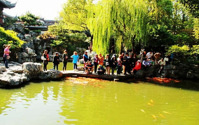 Private Flexible Shanghai Full Day City Tour in Your Way - French Concession and Nanjing Road: Easy Walking, People-Watching, and Shops