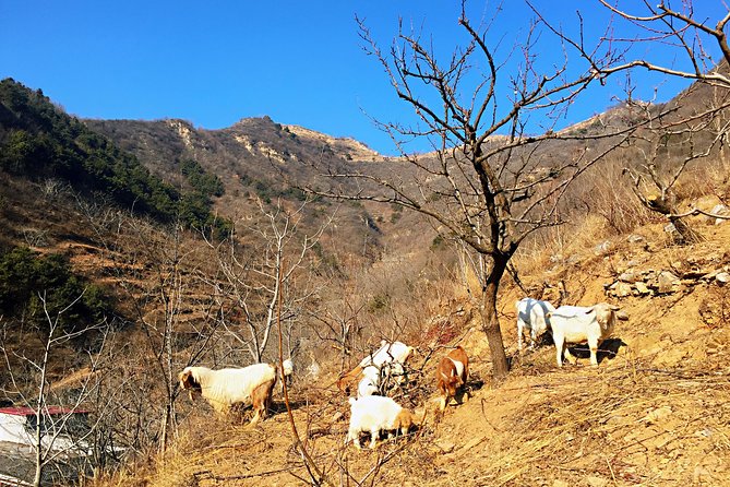 Private Great Wall Hiking Tour: Across The Border of 3 China Provinces - Touching the wall and learning the North Qi to Ming layers